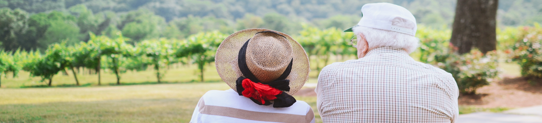 Drinkvoeding bewaren tijdens de warme zomerdagen