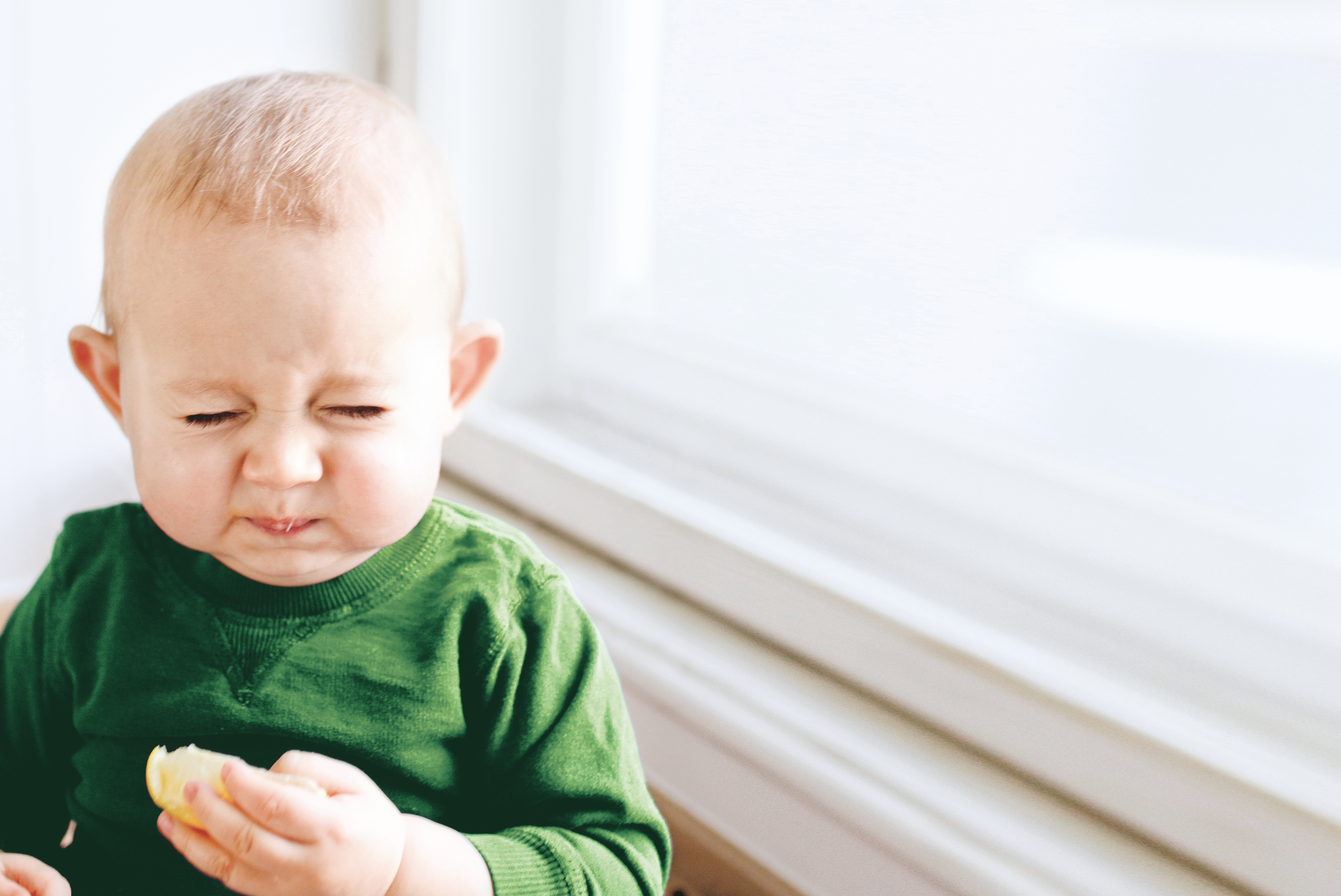 Quiz: Imunidade e microbiota